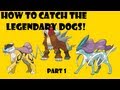Simplest Way To Catch The Legendary Dogs Pokemon Heart Gold And Soul SIlver