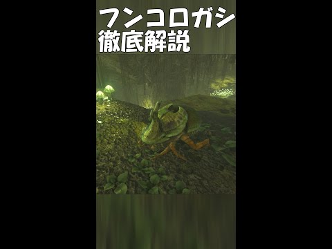 Nuvola アプリ gaim.png