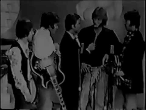 The Grass Roots You Gotta Live For Love + Rare Interview