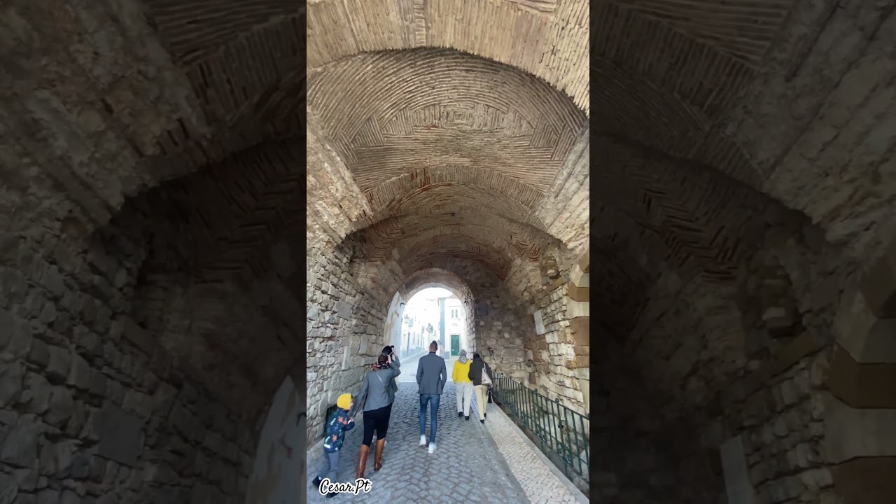 YouTube Short thumbnail