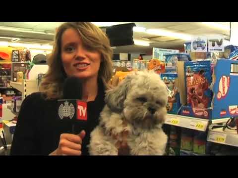 Kid Cudi Vs Crookers  - 'Day 'N' Nite' (Official Behind The Scenes)