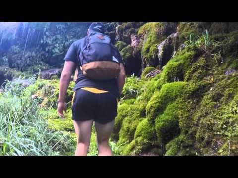 Patuna Chasm walk - New Zealand