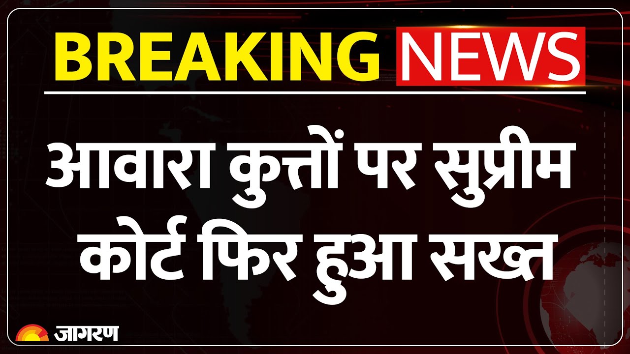Supreme Court Order:आवारा कुत्तों पर फिर सख्त | "...हम किसी को नहीं सुनेंगे" | Government Buildings