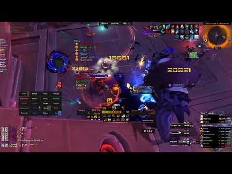 Mythic Ra-den VS Neterya guild | Feral POV