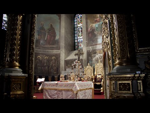 Protos. Teofan Popescu: „Biserica este locul unde putem dobândi adevărata dragoste și libertate!”