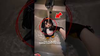Download lagu I Found so Many Gugu Gaga Penguins in My House mp3