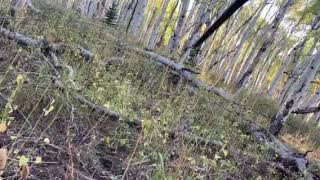 outfitting business for sale in Colorado Video