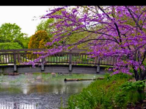 Michael W. Smith: This Is Your Time (Instrumental)