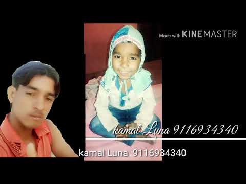 Kamal 9116934340