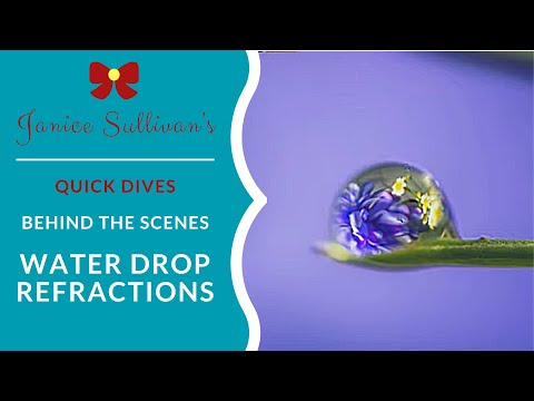 How to Photograph Water Droplets on a Flower
