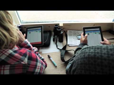 Podcast 3: Day 2, highlights: KIA Cold Hawaii PWA World Cup