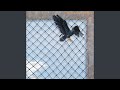 Down On The Border (Single Version / Bonus Track)