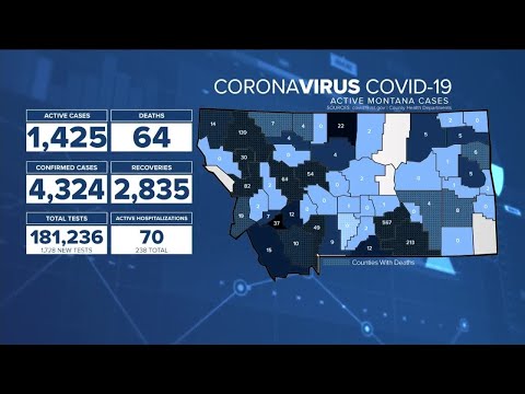 MTN Noon News for Tuesday August 4