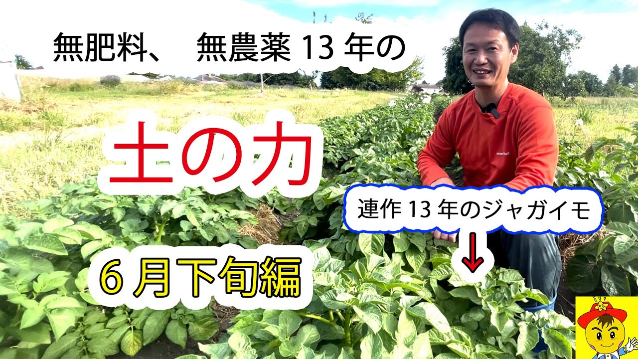 無肥料13年！土と種の力で野菜が育つ