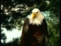 WSBK Commercials September 17 2001 6