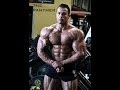 The Panther Project by LD (BODYBUILDING)