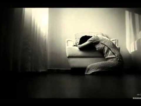 M.D.I.S -neqaretsiz(prod.GFA)