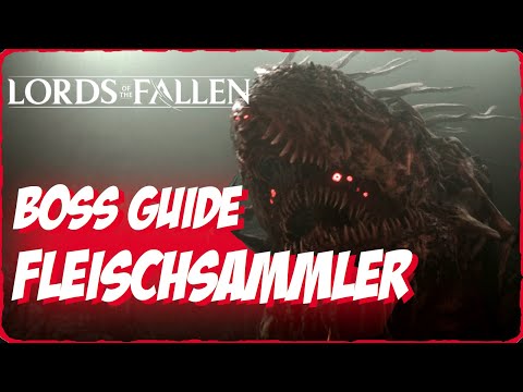 Lords of the Fallen Der Fleischsammler besiegen EASY BOSS GUIDE