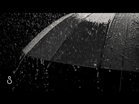 Rain On Umbrella | Black Screen | Relaxing ASMR Sounds For Sleep, Study, Meditation