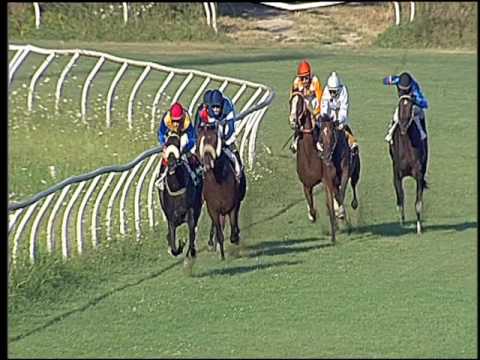 Galoppo 10/08/2016 - 1° corsa