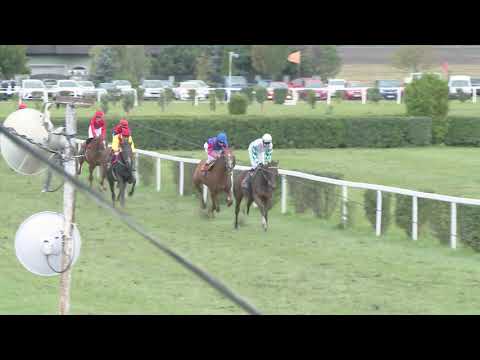 BR, 5. 10. 2019, 4. dostih - MEMORIÁL Z. KALÁBA - CENA FIRMY DRÁPAL a SČADJ