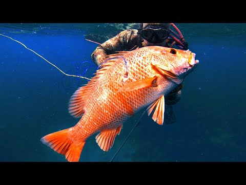 INDO TALES - EPISODE 10 Another fun day at sea