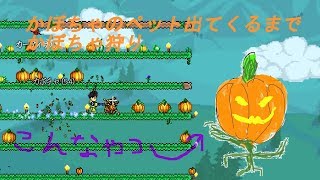 ハロウィンイベントでカボリンを手に入れる　くるぶしが行くテラリア実況prat 5