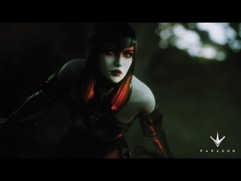 Paragon Glitches and Countess highlights