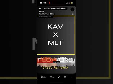 KAV X MLT - Flowers (audio)