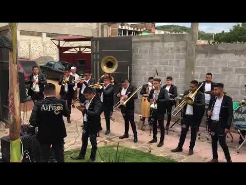 Cariñito De Mi Vida Y La Mesa Del Rincón  - La Original banda Arperos