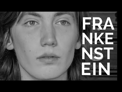 Frankenstein oder Der moderne Prometheus