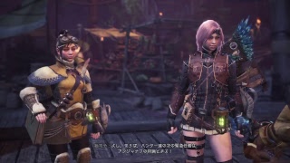 すごく下手なモンスターハンター