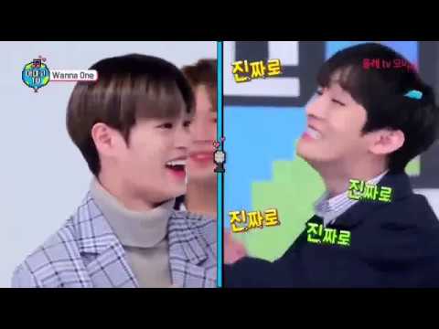 WANNA ONE - AMIGO TV SEASON 4 EP. 1 PART 1 (INDO SUB)