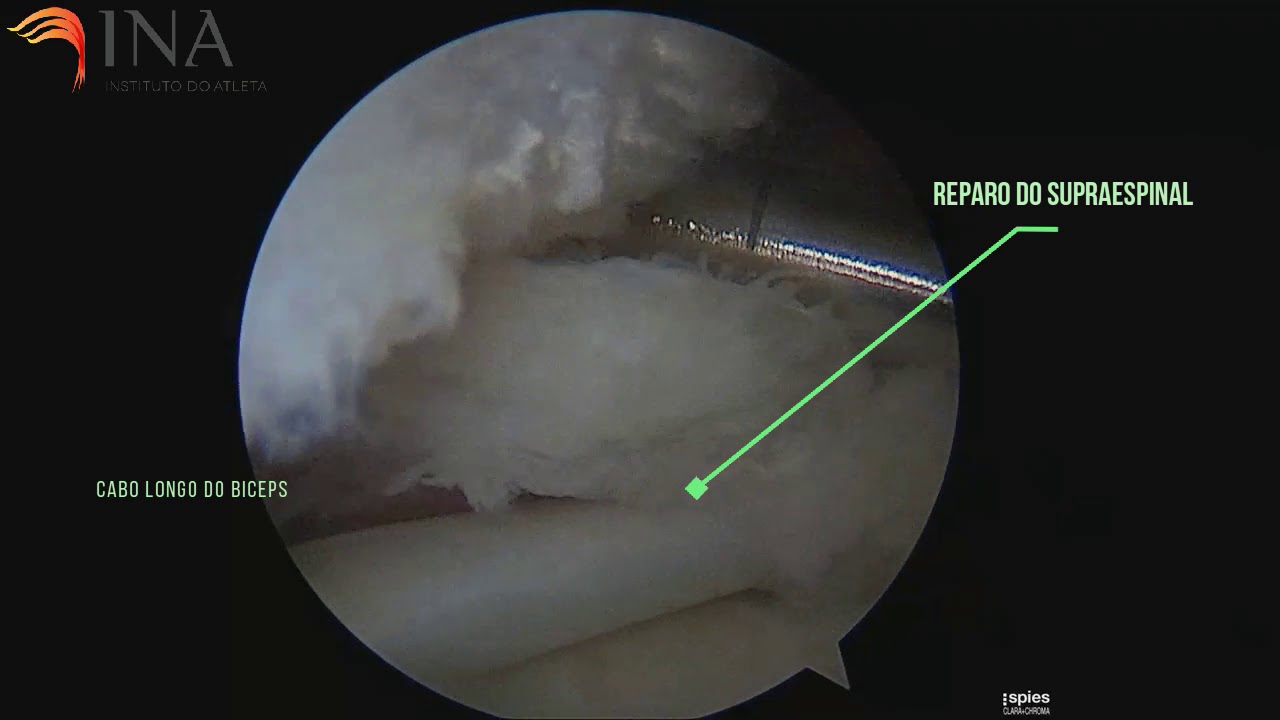 Rogerio Ribeiro Penna-8