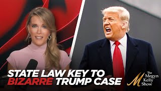 Secret State Law That's the Key to Bizarre NYC Case Against Trump, with Dave Aronberg and Mike Davis