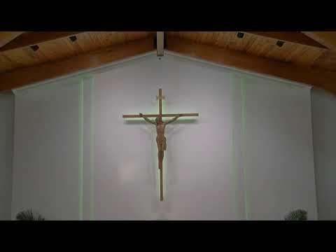 2022-10-30  31st Sunday in Ordinary Time (8am)