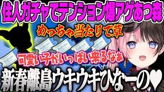 【橘ひなの】新春離島ガチャで当たりの住人を引いてテンション爆アゲでウキウキになるひなーの【あつまれどうぶつの森、あつ森、ぶいすぽっ！】