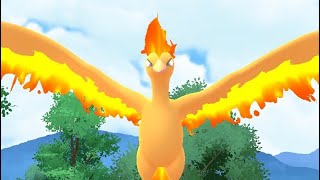 Defeating Moltres
