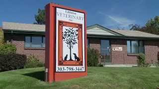 preview picture of video 'Littleton Veterinary Clinic - Short | Centennial, CO'