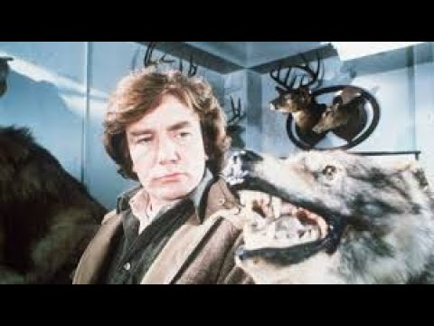 Wolfen Full Movie Fact & Review In English /  Albert Finney / Diane Venora