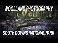 WOODLAND PHOTOGRAPHY  | LANDSCAPE PHOTOGRAPHY UK