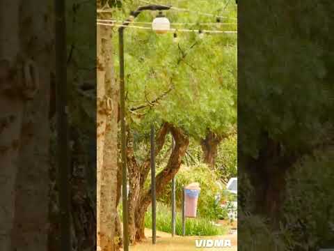 🏛️UNASP, Engenheiro Coelho SP