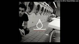Buddahead - Holding Me Back