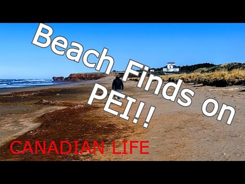 Beach Walk & Finding Treasures on the Beaches of Prince Edward Island!