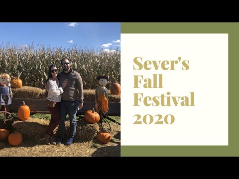 A Crisp Sunday Morning in October At Sever's Fall Festival in Shakopee, MN  |  Fun Fall Activities