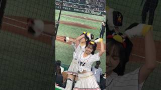 #shorts 《プロ野球 チアリーダー》アジアプロ野球チャンピオンシップ　ヤクルトスワローズ Passion   APBC2023   東京ドーム 日本優勝　勝利の女神　②《BraveTV》