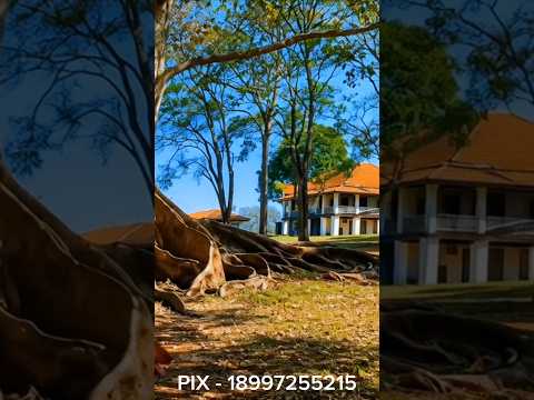 A pré-história de Florínea SP #sussurrocaipira  #florínea