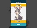 bunny - 兔子 video thumbnail