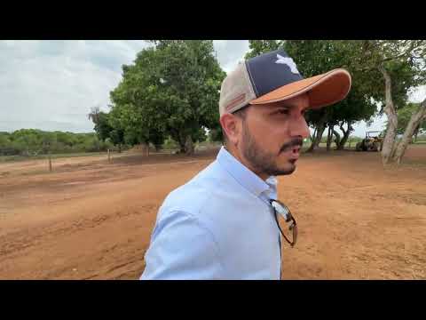 Fazenda dupla aptidão à venda em Formosa/GO com 428 hectares. 
