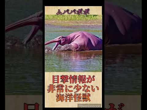 フランソワ・ルヴァイヨンによるイラストオウムの博物学 (1801-1805)
